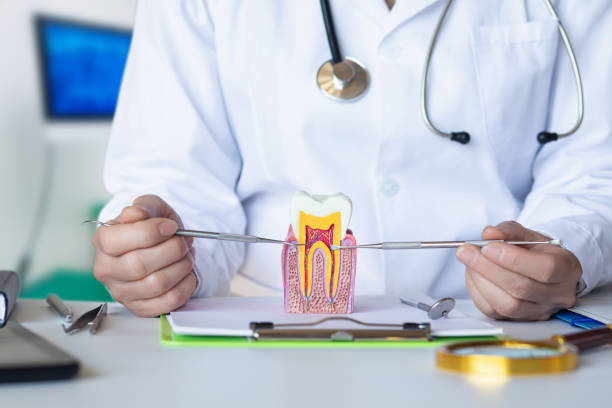 Best Emergency Gum Treatment in Lincolnia, VA